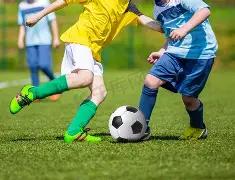 周晓独家,双色球第,期必中三蓝,足彩网,中国足彩网,足彩网首页