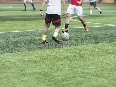 温婉双色球,期红球必中,秘籍,足彩网,中国足彩网,足彩网首页