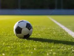 梦想翱翔,揭秘大乐透,独家预测,足彩网,中国足彩网,足彩网首页