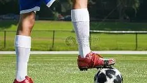 【彩运亨通】双色球2026010独家红球号码预测，尽览热门趋势揭晓！