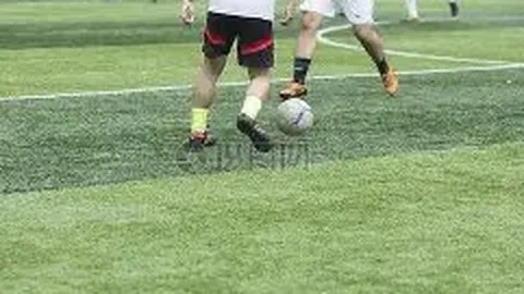 [绝杀三码]024期排三现场直播预测定位555，信就跟着买