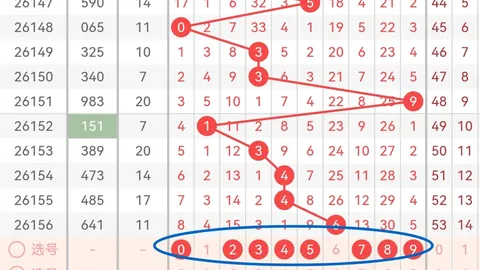 江红雨大乐透攻略中国足彩网竞彩：323万累积奖金，本期精准策略助你冲刺大奖